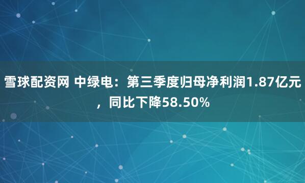 雪球配资网 中绿电：第三季度归母净利润1.87亿元，同比下降58.50%