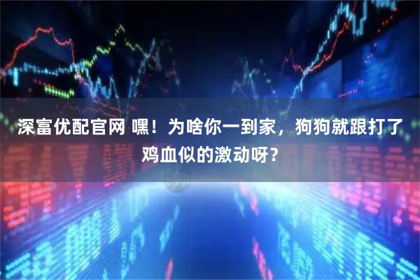 深富优配官网 嘿!为啥你一到家,狗狗就跟打了鸡血似的激动呀?