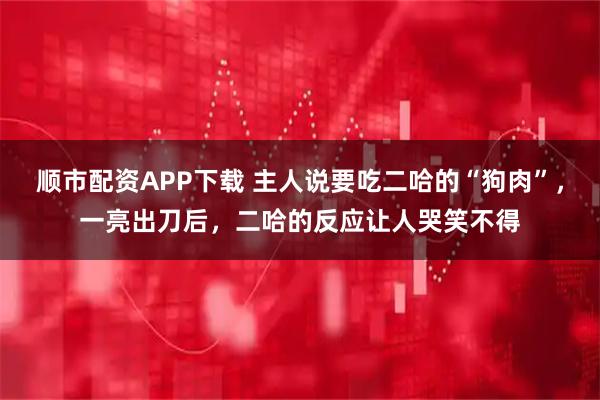 顺市配资APP下载 主人说要吃二哈的“狗肉”，一亮出刀后，二哈的反应让人哭笑不得