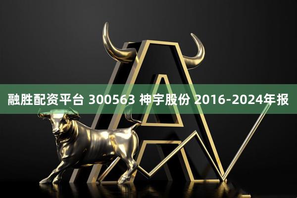 融胜配资平台 300563 神宇股份 2016-2024年报