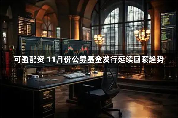 可盈配资 11月份公募基金发行延续回暖趋势