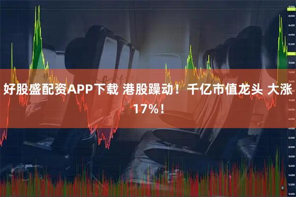 好股盛配资APP下载 港股躁动！千亿市值龙头 大涨17%！