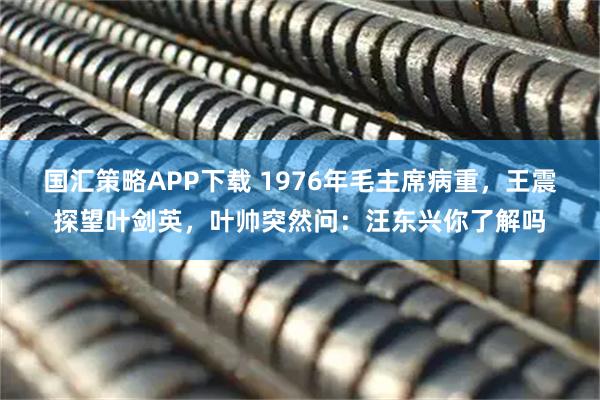 国汇策略APP下载 1976年毛主席病重，王震探望叶剑英，叶帅突然问：汪东兴你了解吗